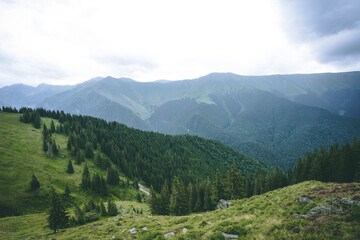 Obraz premium Fagarasi mountains - Lespezi trail