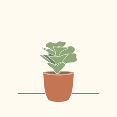 Succulent pot plant vector illustration on ecru white background.