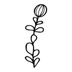 Vector illustration with a twig. Doodle style plant vector for banners and postcards.
