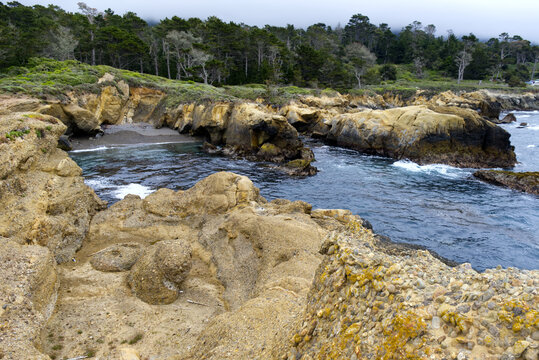 Point Lobos - Rocky Shore jutting into the Sea