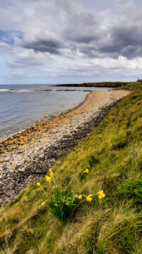 Beadnell bay