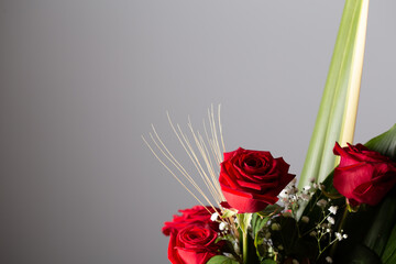 Red rose flower bouquet in bloom close up still isolated on a grey background