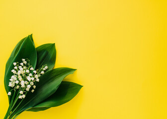 White flowers like bells with green leaves on a yellow background. Minimal flat lay