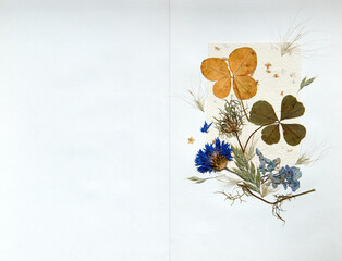 Handmade artwork from four leaf clover and pressed flowers