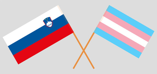 Fototapeta na wymiar Crossed flags of Slovenia and Transgender Pride. Official colors. Correct proportion