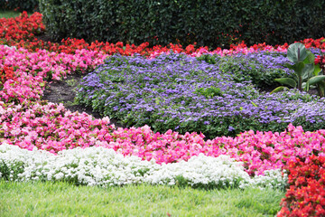 View of flower beds with colorful multi-colored flowers and trimmed bushes of various shapes.