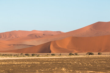 Fototapeta na wymiar red dunes