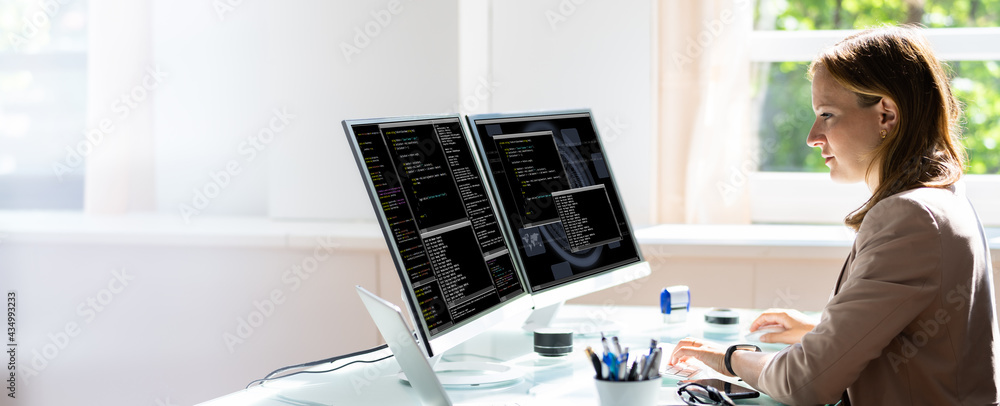 Poster Programmer Woman Coding On Computer