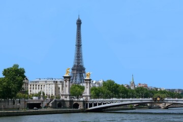 Fototapeta na wymiar Paris skyline with River Seine and Alexander Bridge