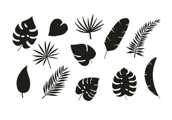 Black silhouettes of tropical palm leaves isolated on white background. Exotic plants leaves set. Vector illustration