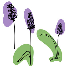 hand drawn Line art monoline flowers . Vector illustration