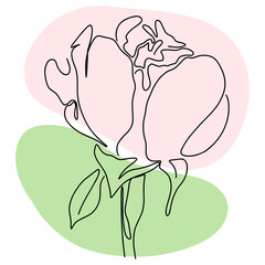 hand drawn Line art monoline flowers . Vector illustration