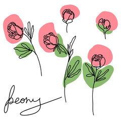 hand drawn Line art monoline flowers . Vector illustration
