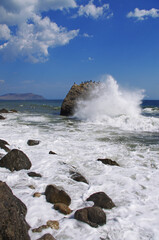 A flock of sea cormorants on a rock. Summer time travel mood