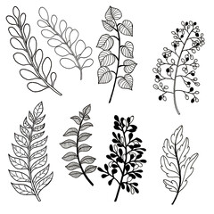 Hand Painted leaves illustration