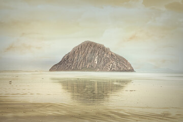 Sea of gold. A tranquil morning on the beach of Morro Bay, California © Martina