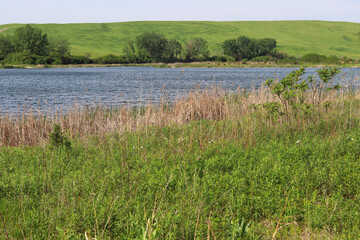 Obraz premium Panoramic spring scenery with a lake in the forest preserve. Spring natural background.