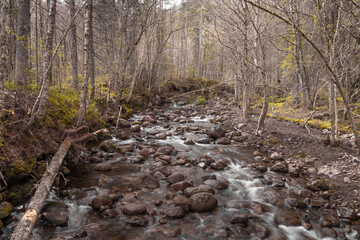 Amazing river in the forest during autumn Jacque cartier national park, Quebec, Canada
