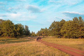 Summer road through the fields through the forest.