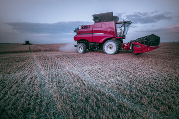 Evening mechanized harvesting of grain in an agricultural field. Bright, summer landscape with a red harvester. Beautiful rural background, wallpaper, design. Selective, soft focus. Photo tinting.