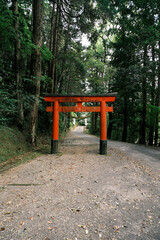 Fototapeta na wymiar 花尾神社の神道