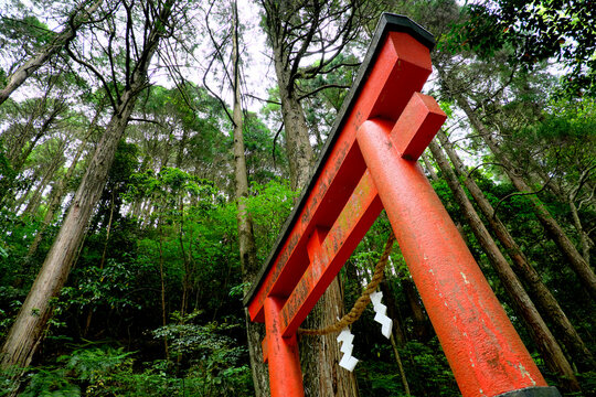 28 584 Best 鳥居 Images Stock Photos Vectors Adobe Stock