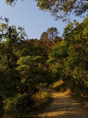 A typical footpath at Chipinque, a mexican park in Monterrey, MX
