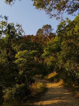 A typical footpath at Chipinque, a mexican park in Monterrey, MX