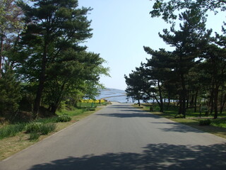 日本のひたち海浜公園・ネモフィラの丘への入口