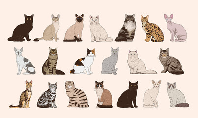 Set of realistic cats vector illustration design - obrazy, fototapety, plakaty