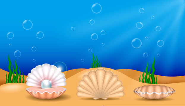 set of realistic shiny pearls or various color pearls inside sea shell or opened sea shell with soft mollusk. eps vector 