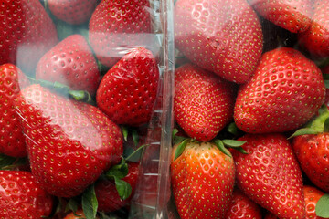 Fresh strawberries shrink-wrapped in foil