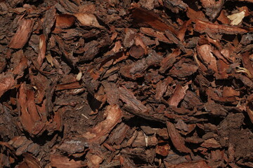 TREE BARK TEXTURE REMOVED