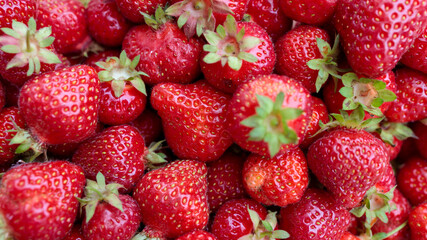 Many strawberries as background