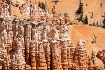 Hoodoos in the amphitheater in Bryce Canyon National Park - Utah