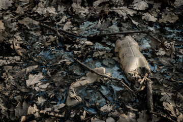 Environment and plastic garbage in woodland. Rubbish trash, waste in forest. Ecological problem with Empty used bottles of big city.