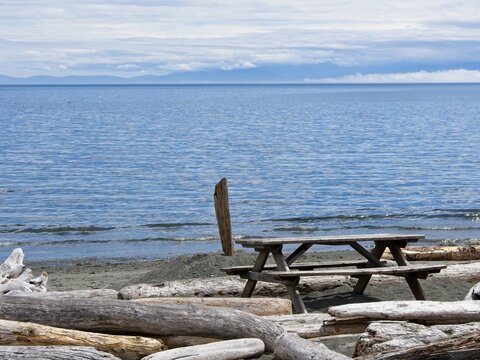  Driftwood strewn along the beach of Esquimalt lagoon on Vancouver Island
