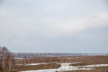 landscape with snow covered trees