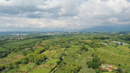 landscape with trees and mountains