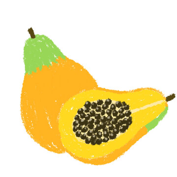 1 413 Best パパイヤ Images Stock Photos Vectors Adobe Stock