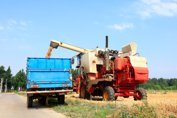 combine harvester working on a wheat field