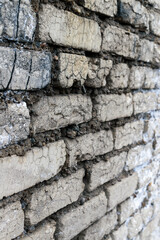 Old gray brick wall. The bricks are cracked. White bloom. Angled perspective, vertical format.