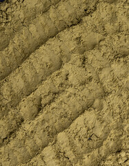 Food texture of green tea matcha powder