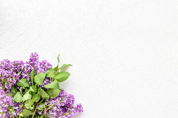 Branch of pink lilac flowers. Top view, copy space