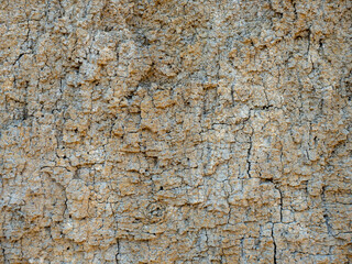 Surface texture of brown clay wall. Abstract background, wallpaper.