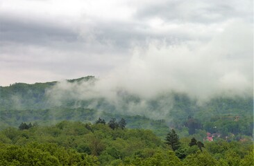 Fototapeta na wymiar landscape with fog over the forest after rain