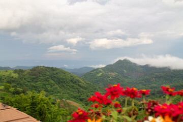 The image flowers are blurry with mountains as background. A white cloud filled the sky before it rains.