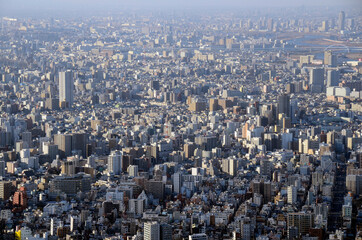 Fototapeta premium 東京の街並み