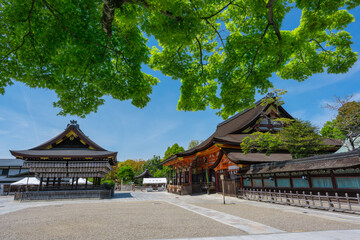 Fototapeta premium 京都 八坂神社の本殿と舞殿 新緑