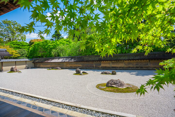 京都　龍安寺の石庭と新緑
